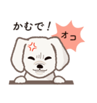 【犬.イヌ.いぬ】まるまる！マルックス！！（個別スタンプ：31）