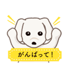 【犬.イヌ.いぬ】まるまる！マルックス！！（個別スタンプ：32）