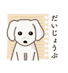 【犬.イヌ.いぬ】まるまる！マルックス！！（個別スタンプ：37）