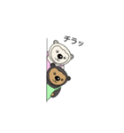 マレーくまちゃん②（個別スタンプ：5）