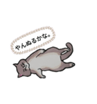 animal。（個別スタンプ：2）