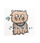 ぶんたや（個別スタンプ：5）