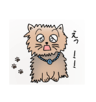 ぶんたや（個別スタンプ：7）