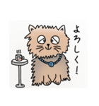 ぶんたや（個別スタンプ：8）