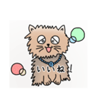 ぶんたや（個別スタンプ：13）