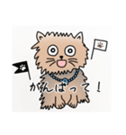 ぶんたや（個別スタンプ：15）