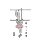 キャロットバレエ Co. (日本語)（個別スタンプ：13）