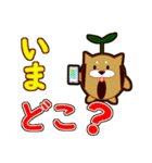 ふたば犬－家族連絡用（個別スタンプ：9）