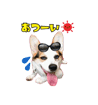 「わが家の三男 ライト」（個別スタンプ：1）
