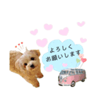 マルプーらぶ❁のスタンプ（個別スタンプ：3）