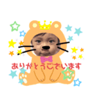 あかね、たける5 家族編（個別スタンプ：4）