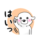 大きな白い犬 ピレネー犬5【共感】（個別スタンプ：1）