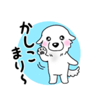 大きな白い犬 ピレネー犬5【共感】（個別スタンプ：7）
