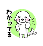 大きな白い犬 ピレネー犬5【共感】（個別スタンプ：8）