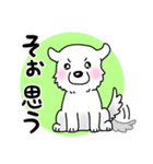 大きな白い犬 ピレネー犬5【共感】（個別スタンプ：11）