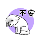 大きな白い犬 ピレネー犬5【共感】（個別スタンプ：23）