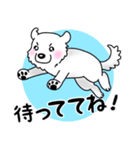 大きな白い犬 ピレネー犬5【共感】（個別スタンプ：31）