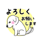 大きな白い犬 ピレネー犬5【共感】（個別スタンプ：37）