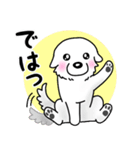 大きな白い犬 ピレネー犬5【共感】（個別スタンプ：40）