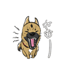 黒マズルの雑種犬 クロハナさん（個別スタンプ：1）