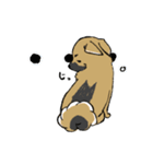 黒マズルの雑種犬 クロハナさん（個別スタンプ：3）