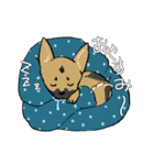 黒マズルの雑種犬 クロハナさん（個別スタンプ：5）