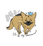 黒マズルの雑種犬 クロハナさん（個別スタンプ：6）