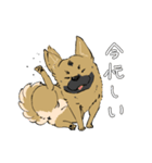 黒マズルの雑種犬 クロハナさん（個別スタンプ：9）