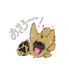 黒マズルの雑種犬 クロハナさん（個別スタンプ：13）