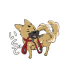 黒マズルの雑種犬 クロハナさん（個別スタンプ：15）