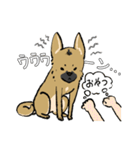 黒マズルの雑種犬 クロハナさん（個別スタンプ：18）