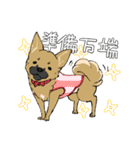黒マズルの雑種犬 クロハナさん（個別スタンプ：21）