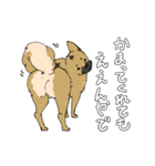黒マズルの雑種犬 クロハナさん（個別スタンプ：24）