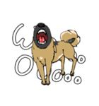 黒マズルの雑種犬 クロハナさん（個別スタンプ：26）