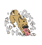 黒マズルの雑種犬 クロハナさん（個別スタンプ：27）
