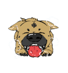 黒マズルの雑種犬 クロハナさん（個別スタンプ：28）