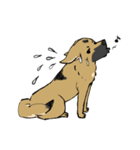 黒マズルの雑種犬 クロハナさん（個別スタンプ：30）
