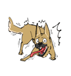 黒マズルの雑種犬 クロハナさん（個別スタンプ：31）