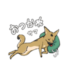 黒マズルの雑種犬 クロハナさん（個別スタンプ：34）