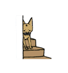 黒マズルの雑種犬 クロハナさん（個別スタンプ：36）
