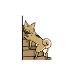 黒マズルの雑種犬 クロハナさん（個別スタンプ：37）