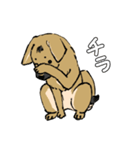 黒マズルの雑種犬 クロハナさん（個別スタンプ：38）