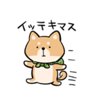 旅する柴犬（個別スタンプ：4）