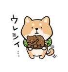 旅する柴犬（個別スタンプ：30）