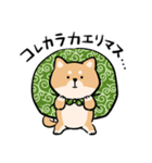 旅する柴犬（個別スタンプ：36）