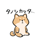 旅する柴犬（個別スタンプ：39）