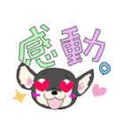 わんちゃん達の日常（個別スタンプ：1）