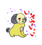 犬のメッセージ スタンプ（個別スタンプ：10）