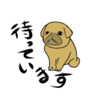 犬のメッセージ スタンプ（個別スタンプ：14）