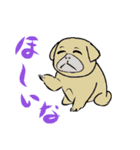 犬のメッセージ スタンプ（個別スタンプ：22）